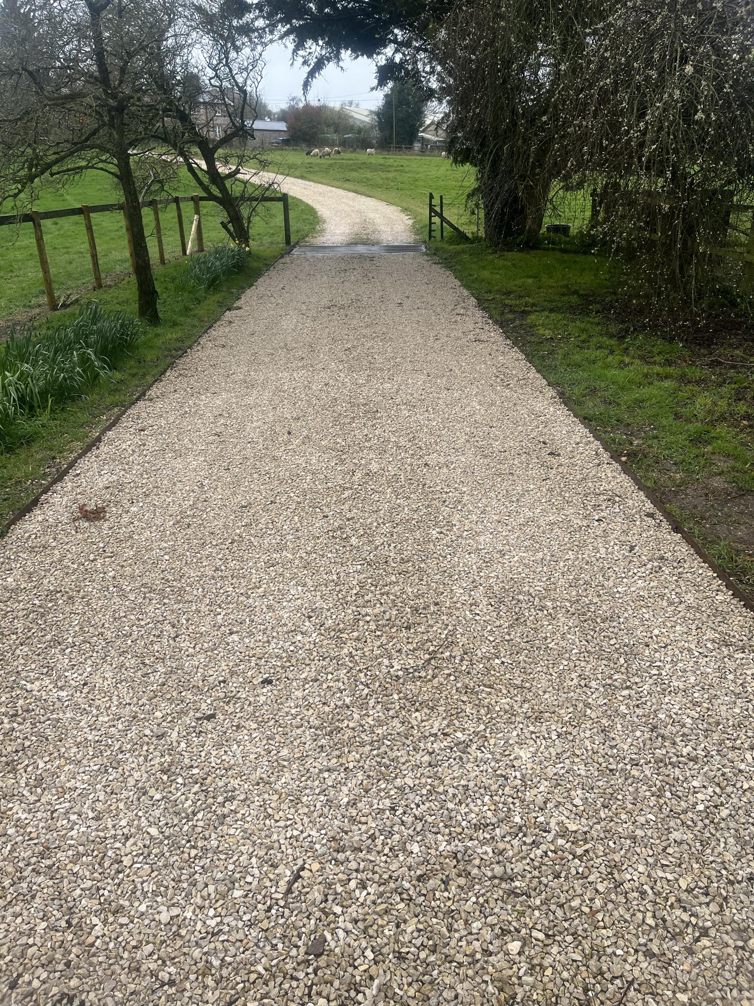 service single images