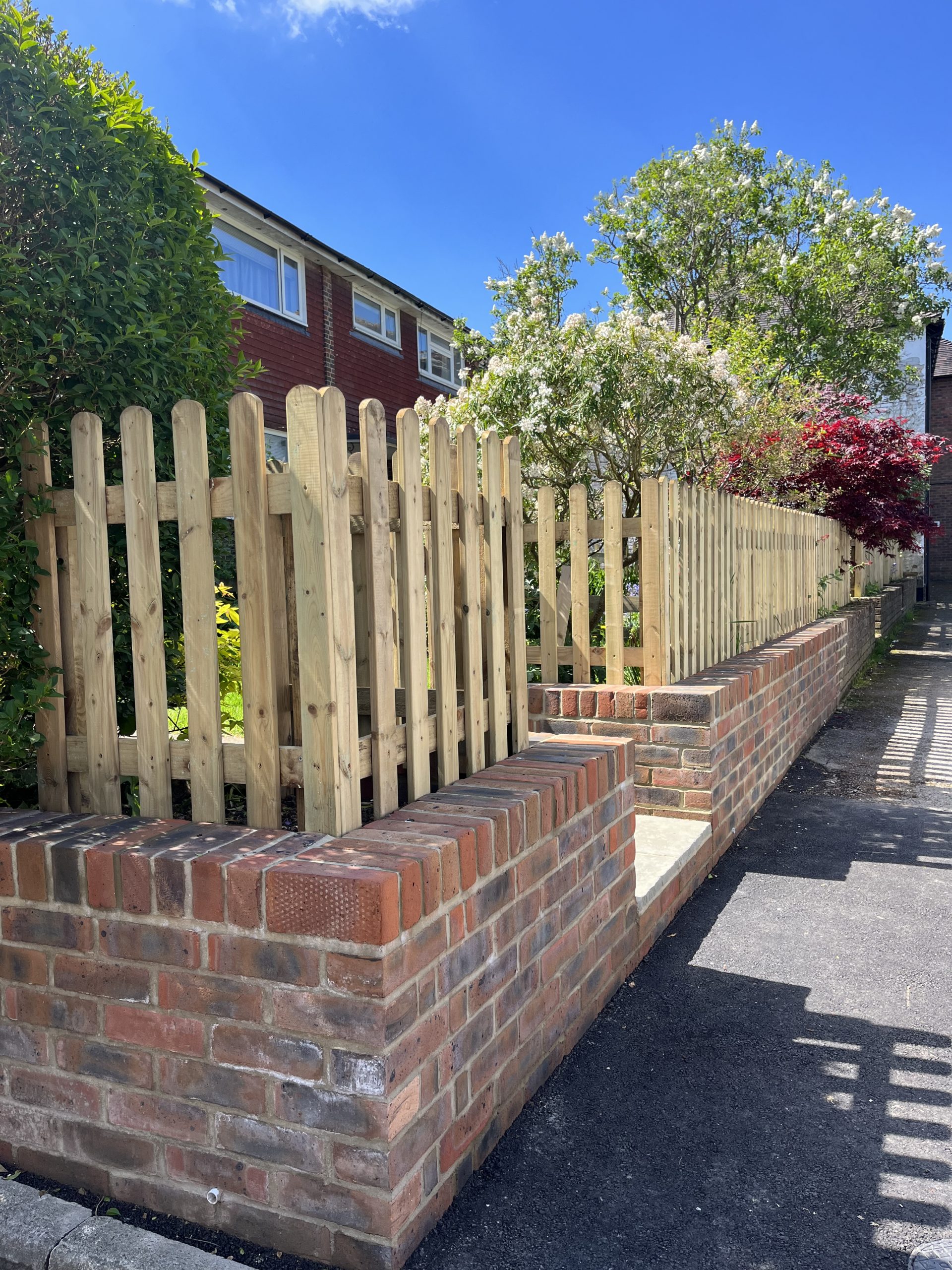 service single images