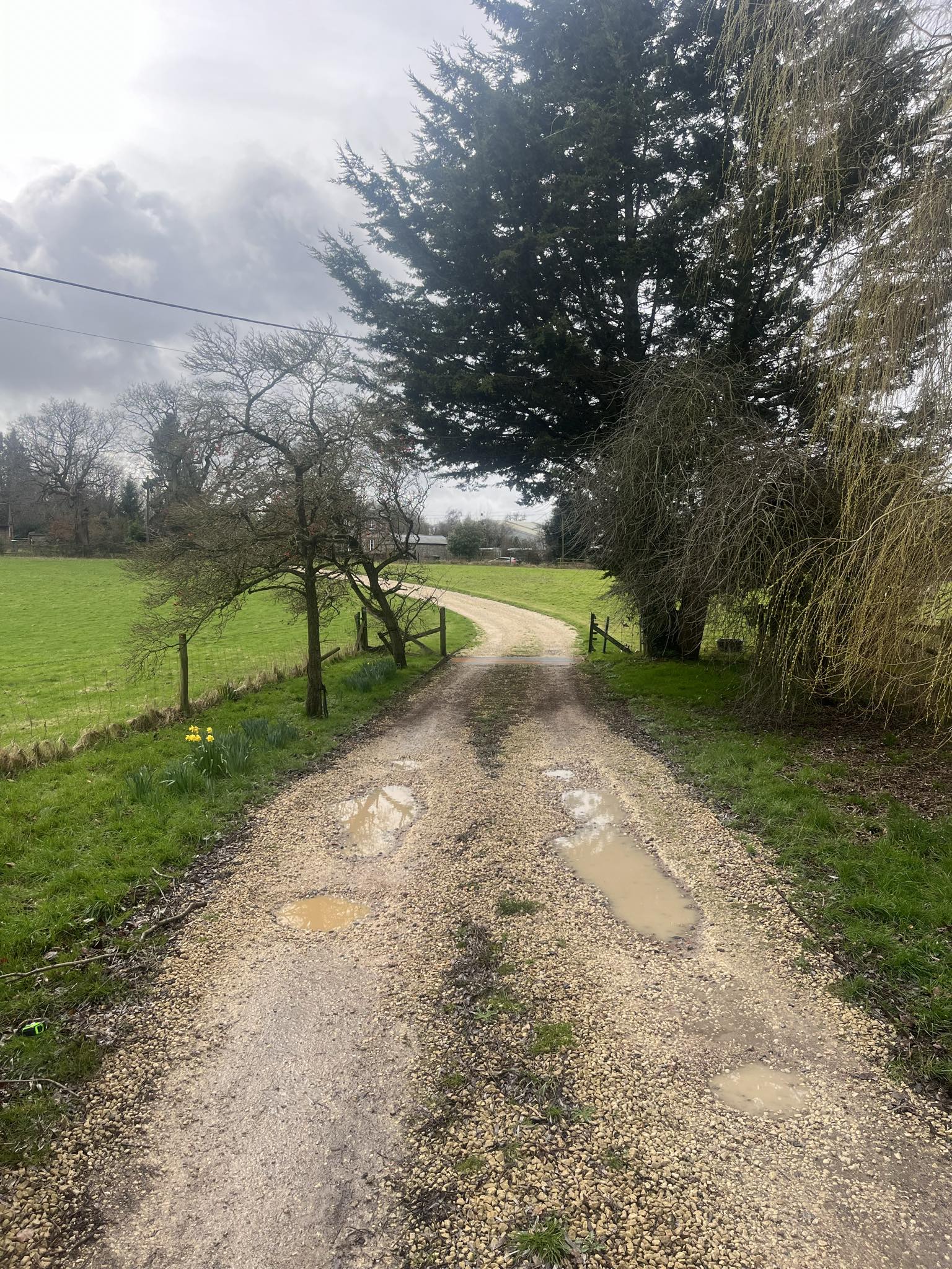 service single images