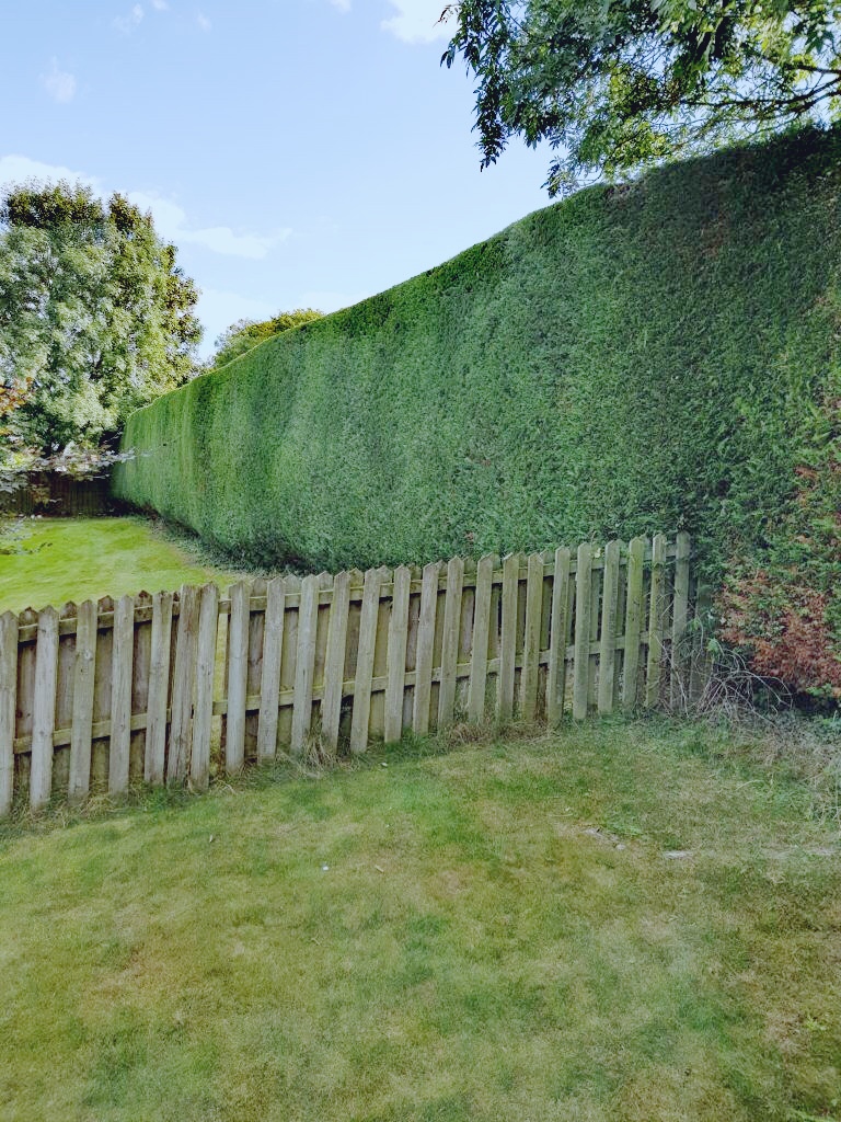 service single images