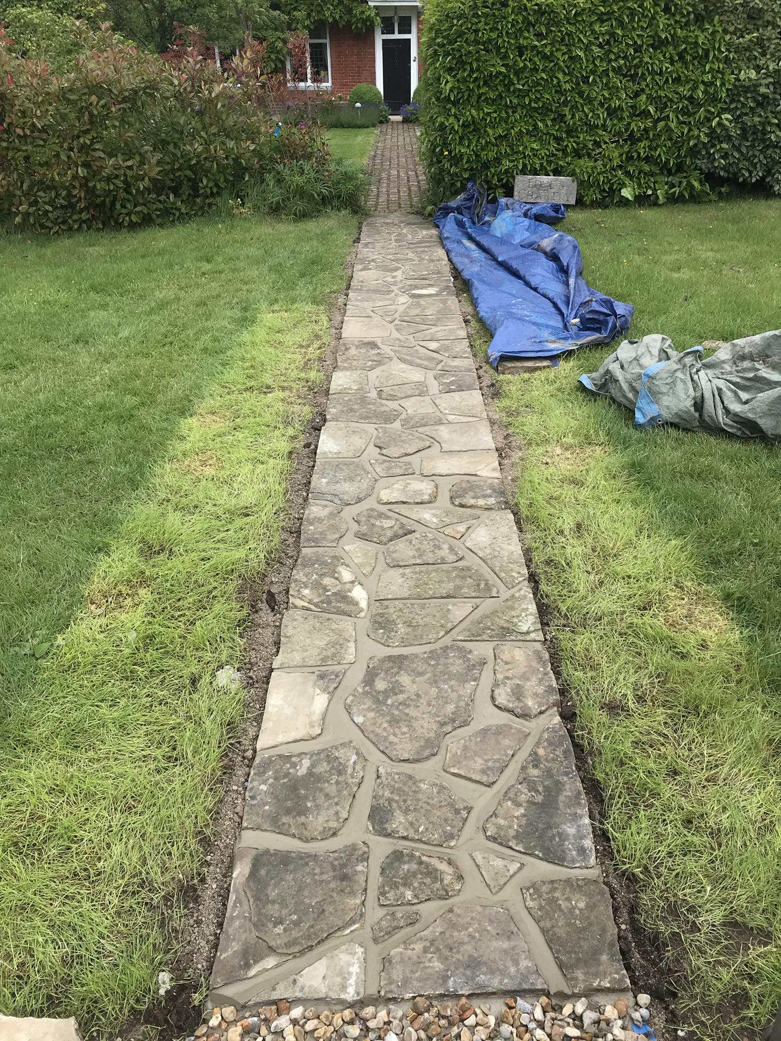 service single images